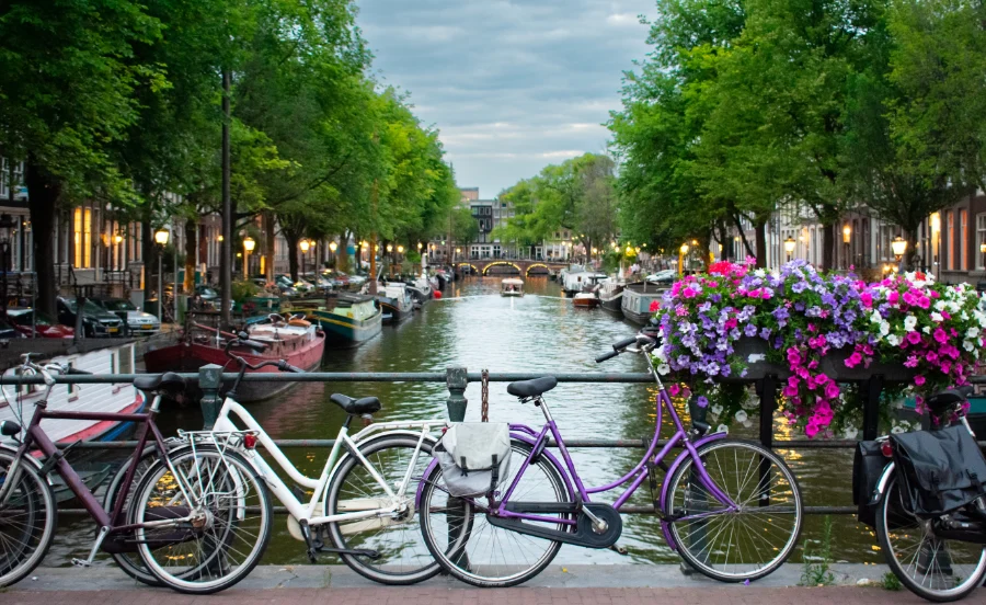 Je weg vinden in Amsterdam: vervoerstips en crowd management