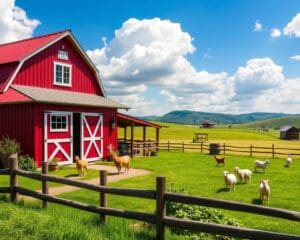 Bezoek een kleine boerderij voor een interactieve tour