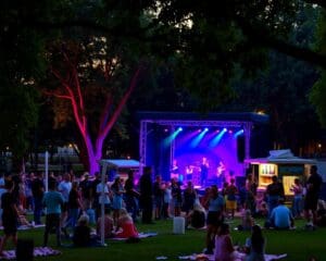 Ga naar een muziekavond met live optredens in een park